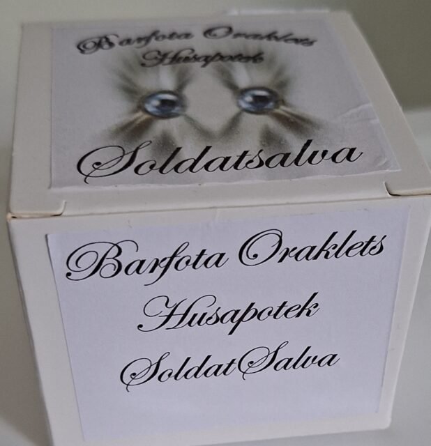 Soldatsalva